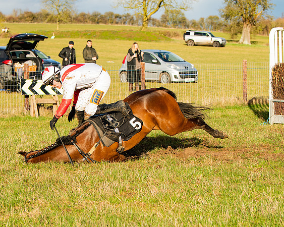 Race 7 - Maiden (104 of 136)