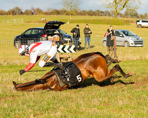 Race 7 - Maiden (105 of 136)