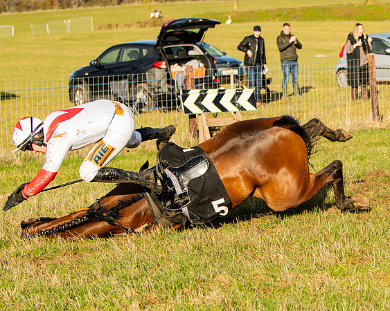 Race 7 - Maiden (106 of 136)