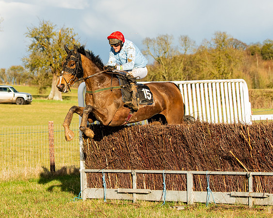 Race 7 - Maiden (108 of 136)