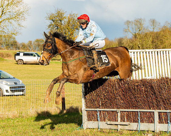 Race 7 - Maiden (109 of 136)