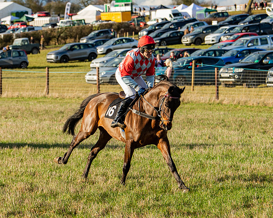 Race 7 - Maiden (20 of 136)