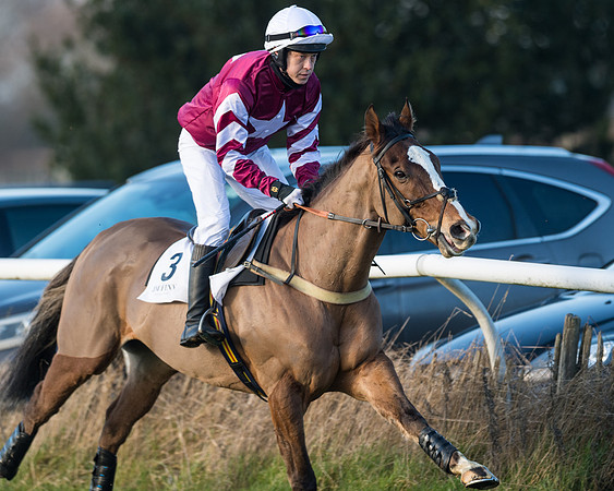 Race 2 - PPORA Novice Riders  (34 of 205)
