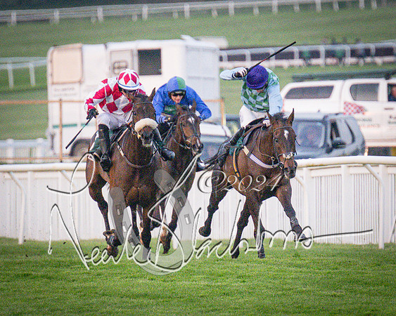 Race - 7 The Royal Gloucester Hussars Open Hunter's steeplechase 2m4f 127y (96 of 210)