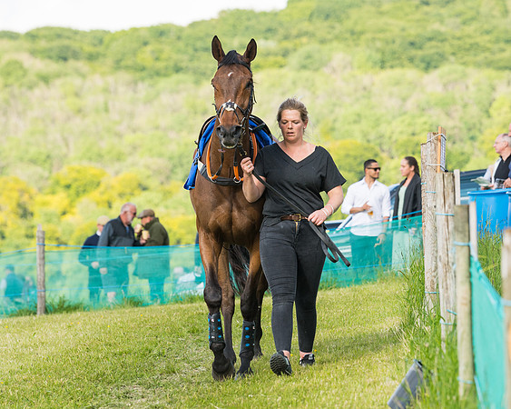 Race 6 - Open Maiden (13 of 227)