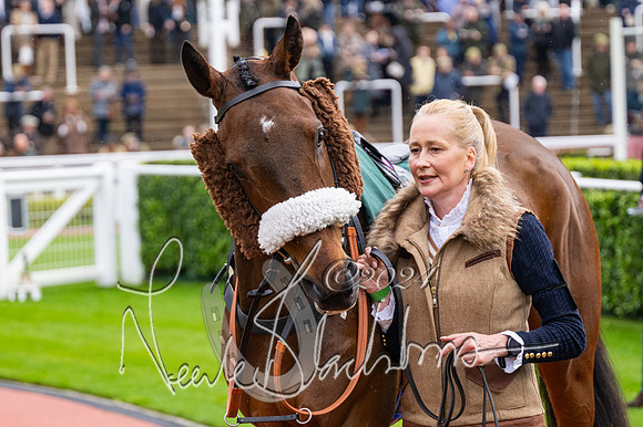 Race 3 - Junior jumpers (2 of 180)