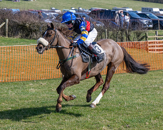 Pony Race 2 - 138cm (39 of 65)