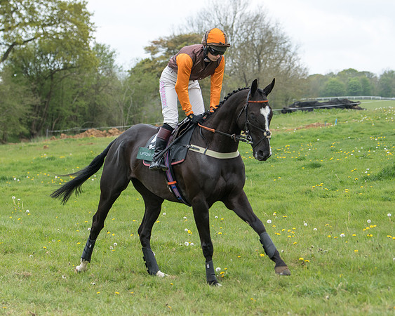 Race 3 - Warwickshire Hunt Members (3 of 65)