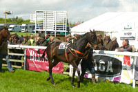 Race 2 - Open Maiden  12