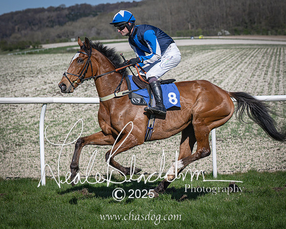 Race 6 - Veteran horse (40 of 109)