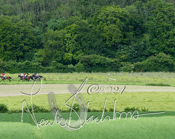 Race 5 - Restricted Race (241 of 434)