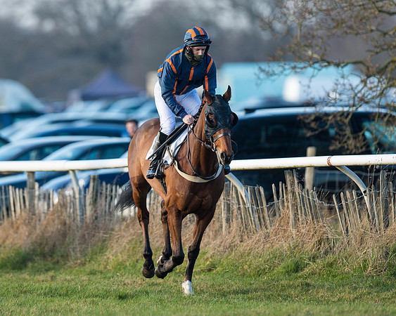 Race 2 - PPORA Novice Riders  (7 of 205)