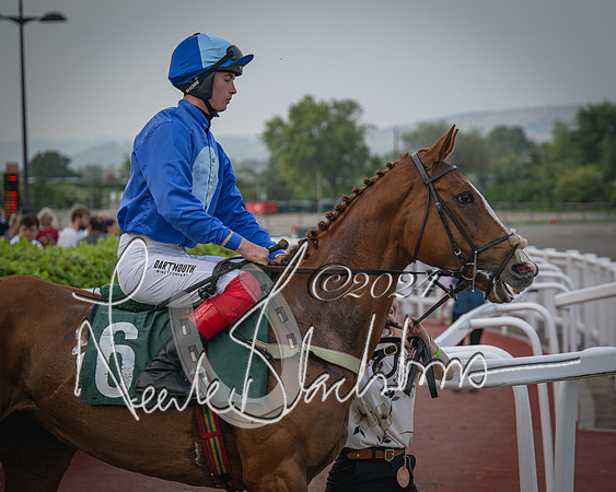 Race 5 - Mares Open Hunter Steeplechase 3m2f 70y (61 of 269)