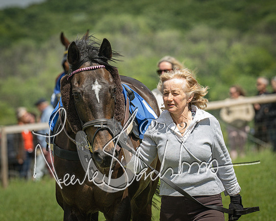 Race 1 - The owner-trainer Conditions race (3 of 118)