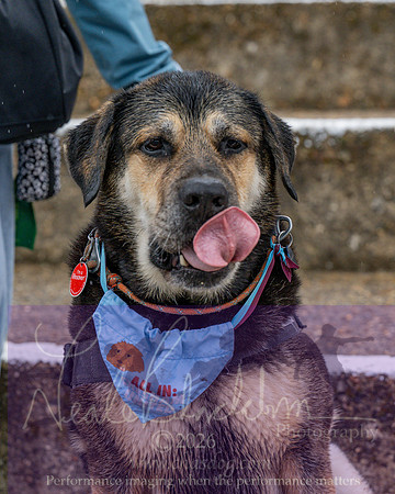 Chesham Utd 2 v 2 Dover Athletic (168 of 447)