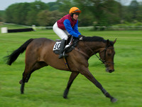 Open Maiden -  10