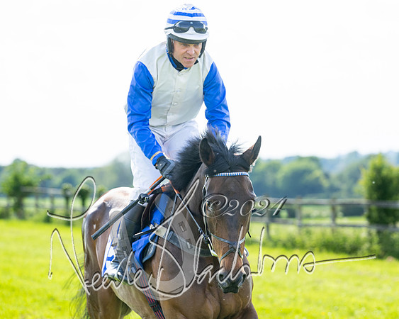 Race 5  - Maiden race 2m5F Div-1 (61 of 197)