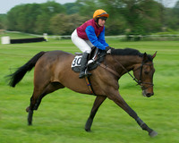 Open Maiden -  10