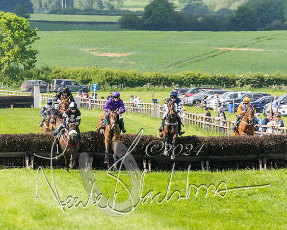 Race 4 - PPORA Novice Riders Final  (205 of 362)