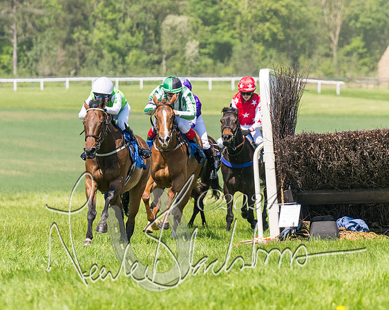 Pony Races  (62 of 141)
