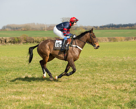 Race 2 - COnfined Hunts race (23 of 144).jpg