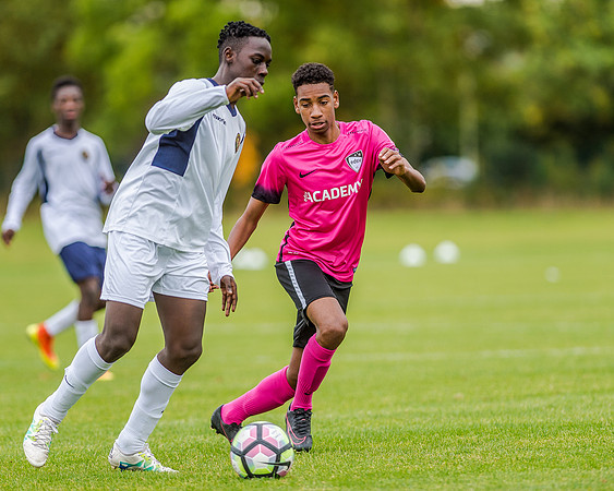 edsv 6-0 191016 (155 of 257)