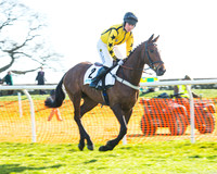 Race 5 - TBA members Mares and Fillies race (16 of 101).jpg