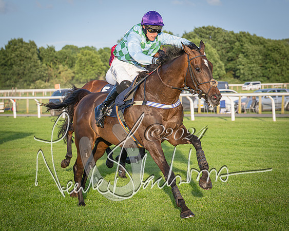 Race 5 - tipsterreviews.co.uk handicap (58 of 107)