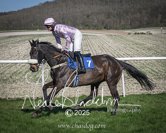 Race 6 - Veteran horse (44 of 109)