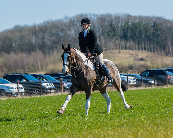 Hunt Horses annd Hound parade (39 of 44)