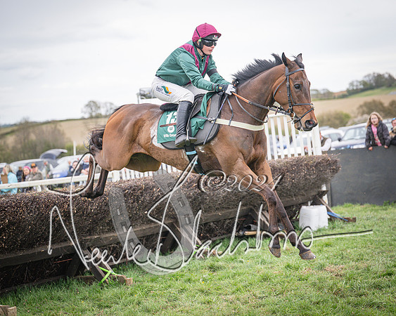 Race 6 - The Restricted Race (46 of 101)
