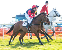 Race 3 - Ladies Open  (12 of 88).jpg