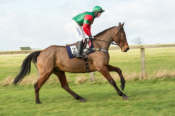 Race 3 - PPORA Members Novice Riders (11 of 84).jpg