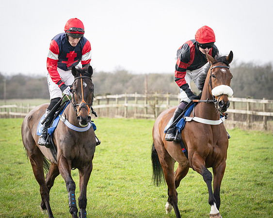 Race 1 - Four and Five year Old Maiden (47 of 137)
