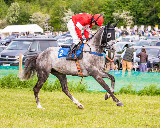 Race 6 - Open Maiden (85 of 346)