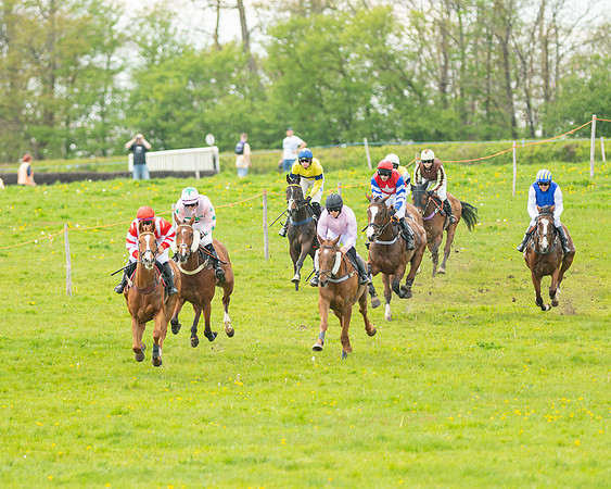 Race 5 - Open Maiden  (6 of 89)
