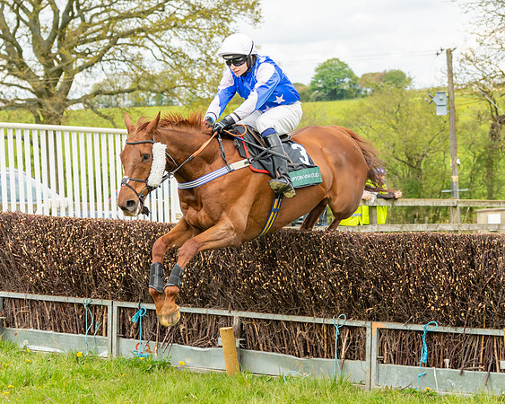 Race 2 - ROR and veteran Horse Conditions race (36 of 77)