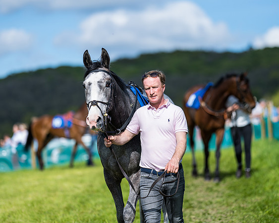 Race 5 - 2m5f Maiden (27 of 144)