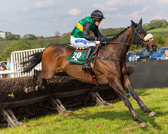 Race 5 - Restricted  (92 of 164)