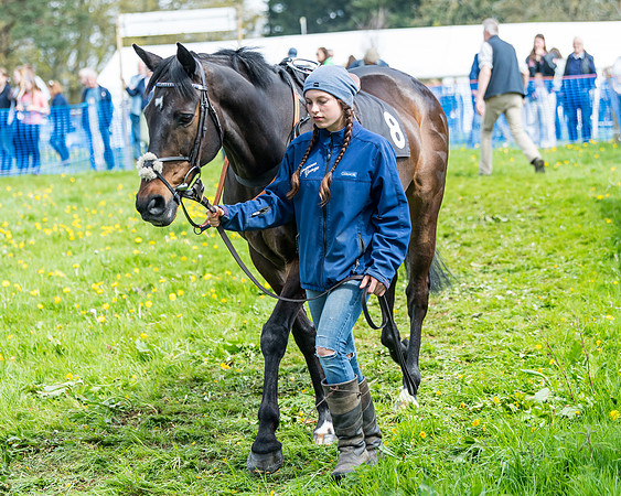 Race 2 - Veteran Horse  (25 of 82)