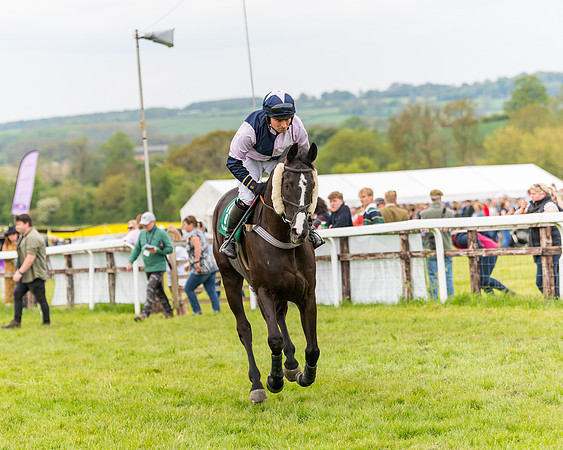 Race 7 - Veteran Horse conditions (92 of 244)