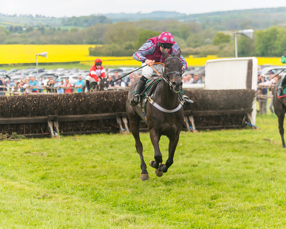 Race 6 = Maiden (141 of 187)