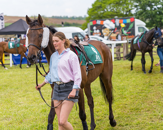 Race 7 - Veteran Horse conditions (32 of 244)