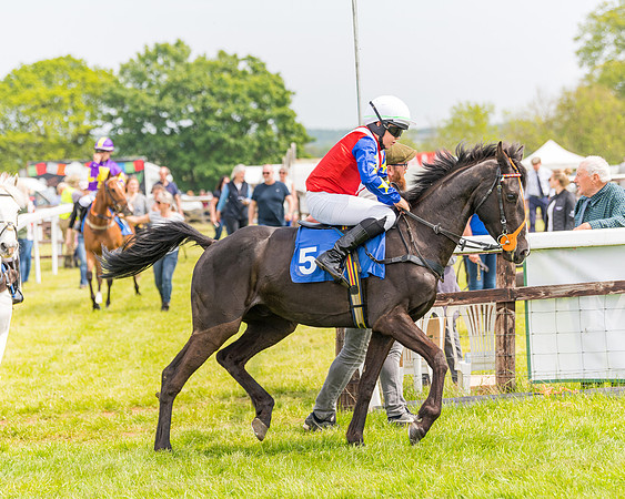 Pony Race 2 - 148cm (28 of 142)
