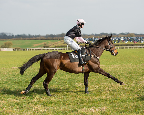 Race 2 - COnfined Hunts race (20 of 144).jpg