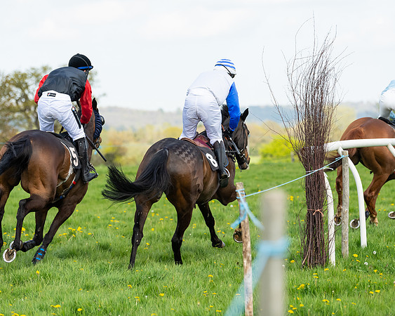 Race 2 - Veteran Horse  (78 of 82)