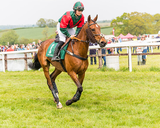 Race 2 - Owner-Trainer Conditions  (41 of 208)
