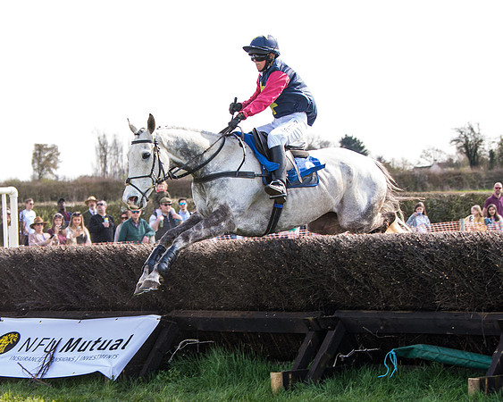 Race 4 - The Warehouse Reit Mixed Open Race  (46 of 124)