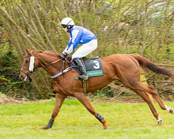 Race 2 - ROR and veteran Horse Conditions race (2 of 77)