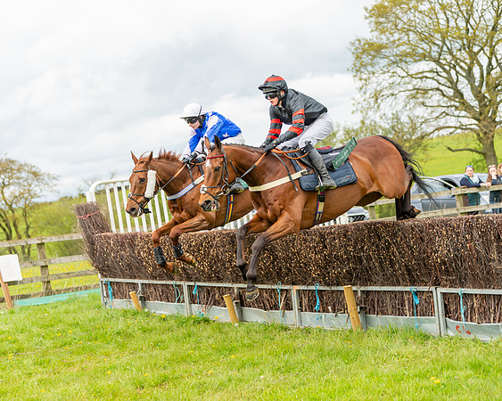 Race 2 - ROR and veteran Horse Conditions race (17 of 77)